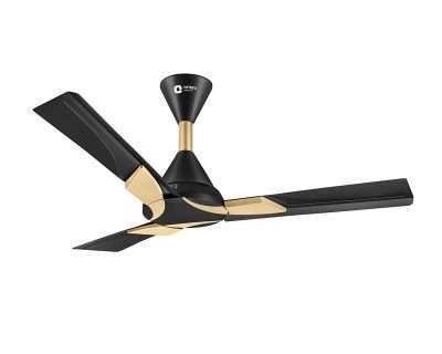 Orient Electric Wendy 1200mm ceiling fan (Metallic Black-Gold)