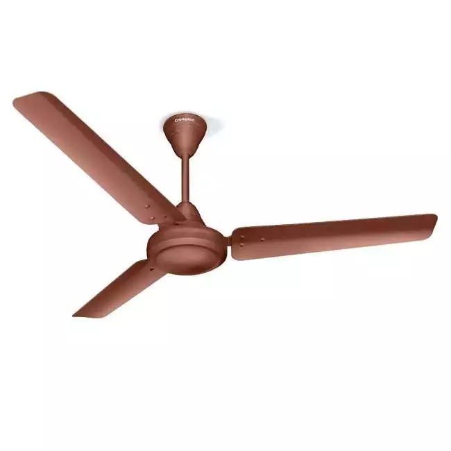 Crompton Riviera 1200mm (48 inch) Ceiling Fan (Brown)
