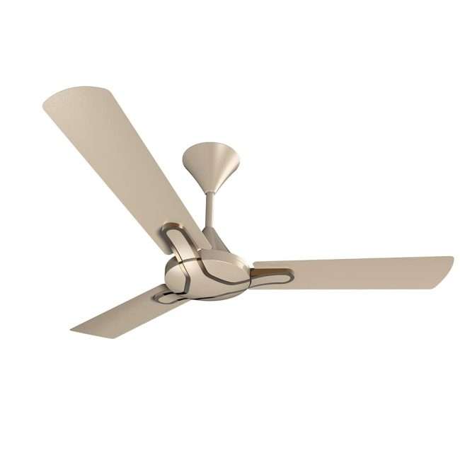 Crompton Gianna 1200mm 3 Blade Ceiling Fan, 48 inch (Tapioca)