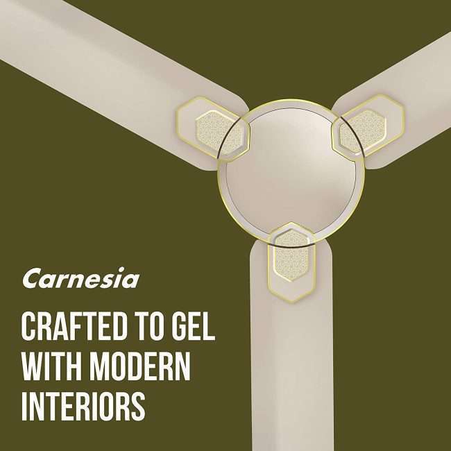 Havells Carnesia 1200mm Ceiling Fan (Gold)