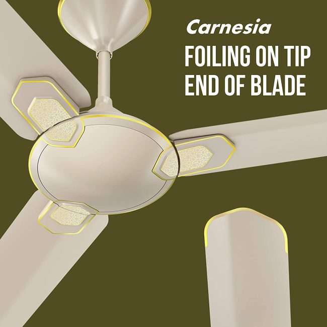 Havells Carnesia 1200mm Ceiling Fan (Gold)