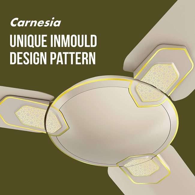 Havells Carnesia 1200mm Ceiling Fan (Gold)