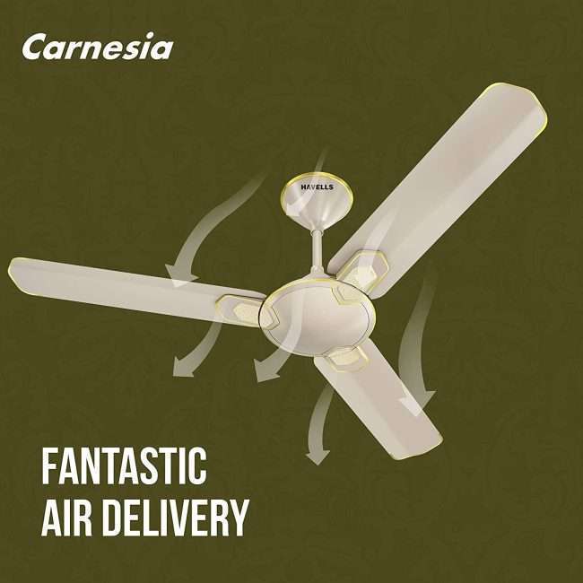 Havells Carnesia 1200mm Ceiling Fan (Gold)