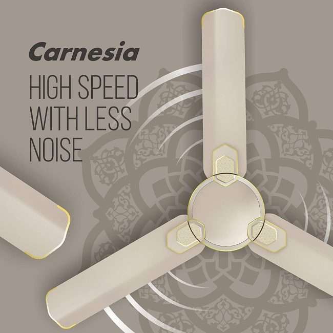 Havells Carnesia 1200mm Ceiling Fan (Gold)