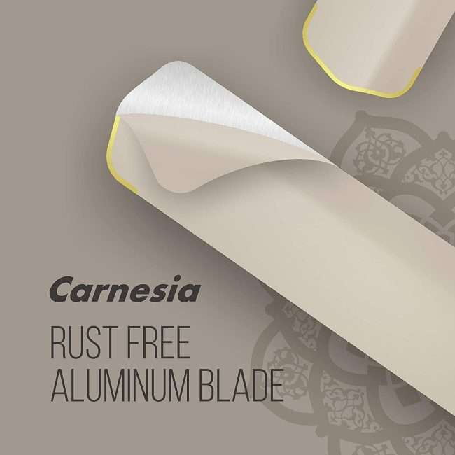 Havells Carnesia 1200mm Ceiling Fan (Gold)