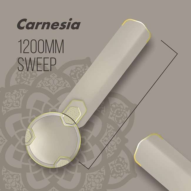 Havells Carnesia 1200mm Ceiling Fan (Gold)