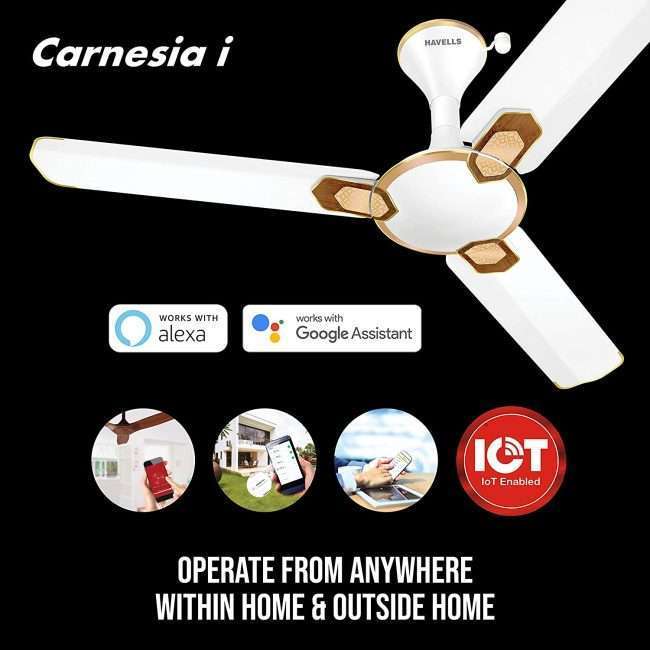 Havells Carnesia i 1200mm Ceiling Fan (Pearl White Gold)