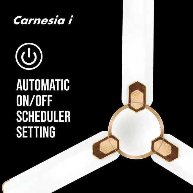 Havells Carnesia i 1200mm Ceiling Fan (Pearl White Gold)