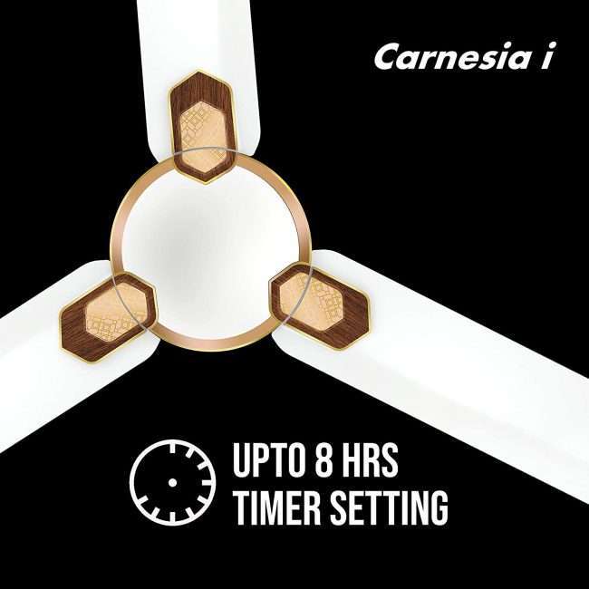Havells Carnesia i 1200mm Ceiling Fan (Pearl White Gold)