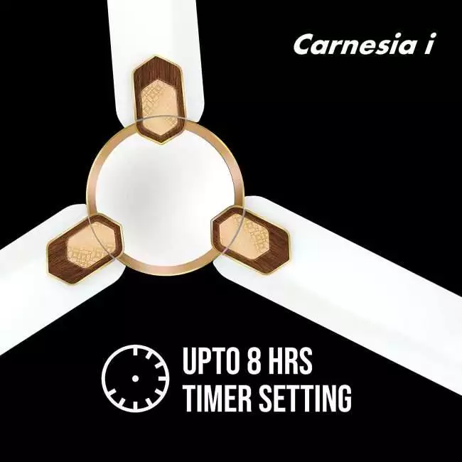 Havells Carnesia i 1200mm Ceiling Fan (Pearl White Gold)