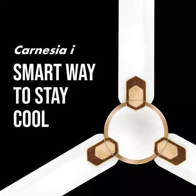 Havells Carnesia i 1200mm Ceiling Fan (Pearl White Gold)