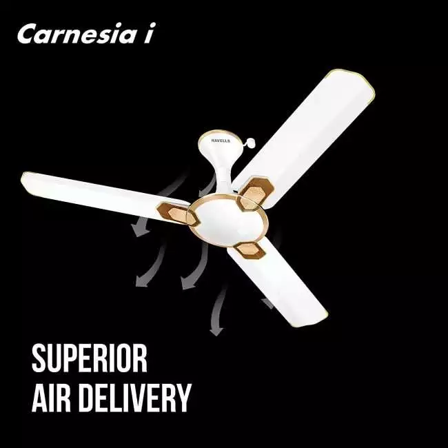 Havells Carnesia i 1200mm Ceiling Fan (Pearl White Gold)