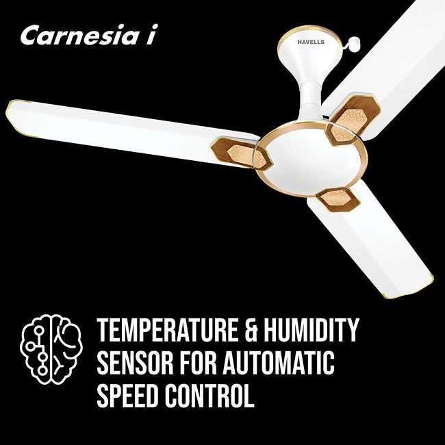 Havells Carnesia i 1200mm Ceiling Fan (Pearl White Gold)