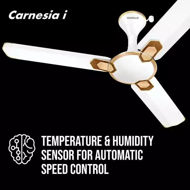 Havells Carnesia i 1200mm Ceiling Fan (Pearl White Gold)