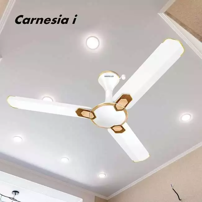 Havells Carnesia i 1200mm Ceiling Fan (Pearl White Gold)