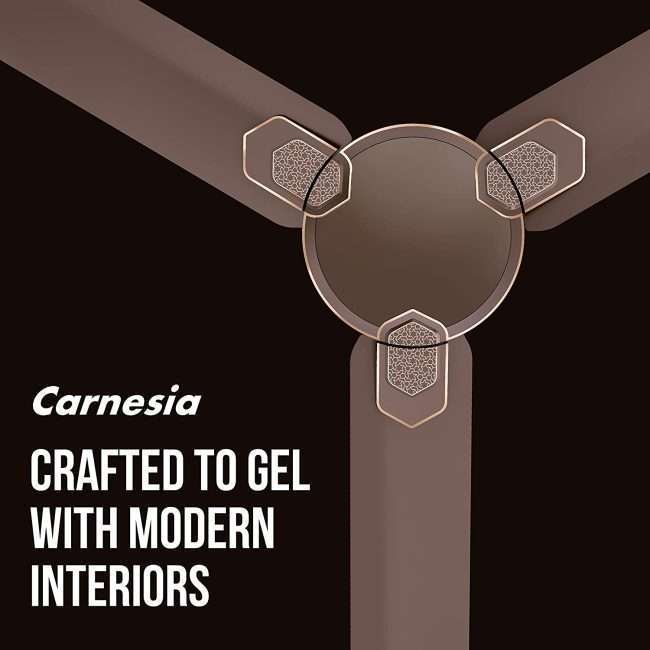 Havells Carnesia 1200mm Ceiling Fan (Dusk LT Copper)