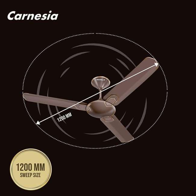 Havells Carnesia 1200mm Ceiling Fan (Dusk LT Copper)