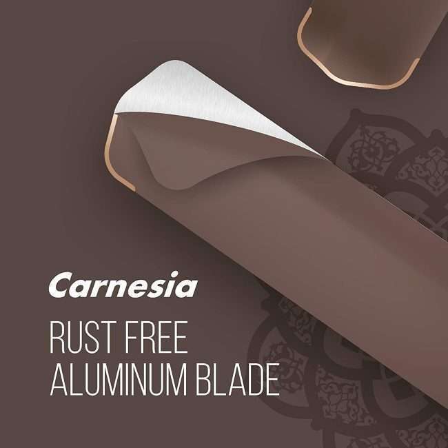 Havells Carnesia 1200mm Ceiling Fan (Dusk LT Copper)