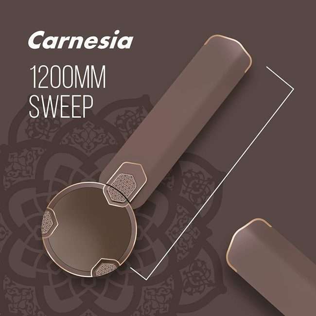 Havells Carnesia 1200mm Ceiling Fan (Dusk LT Copper)
