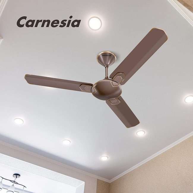 Havells Carnesia 1200mm Ceiling Fan (Dusk LT Copper)
