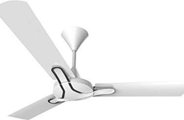 Crompton Gianna 1200 mm 3 Blade Ceiling Fan (Pearl White)