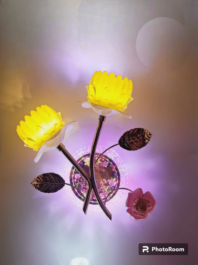 TRACKLITE Round Economy Range, Glass Modern Style LED Wall Light for Home Decor – Bedroom bed room, hall, dinning room, showroom, shop, mall, gallery, lobby, for indoor interior use ROSE STYLES MODERN LIGHT