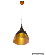 Tracklite hanging Pendant Light Fixtures